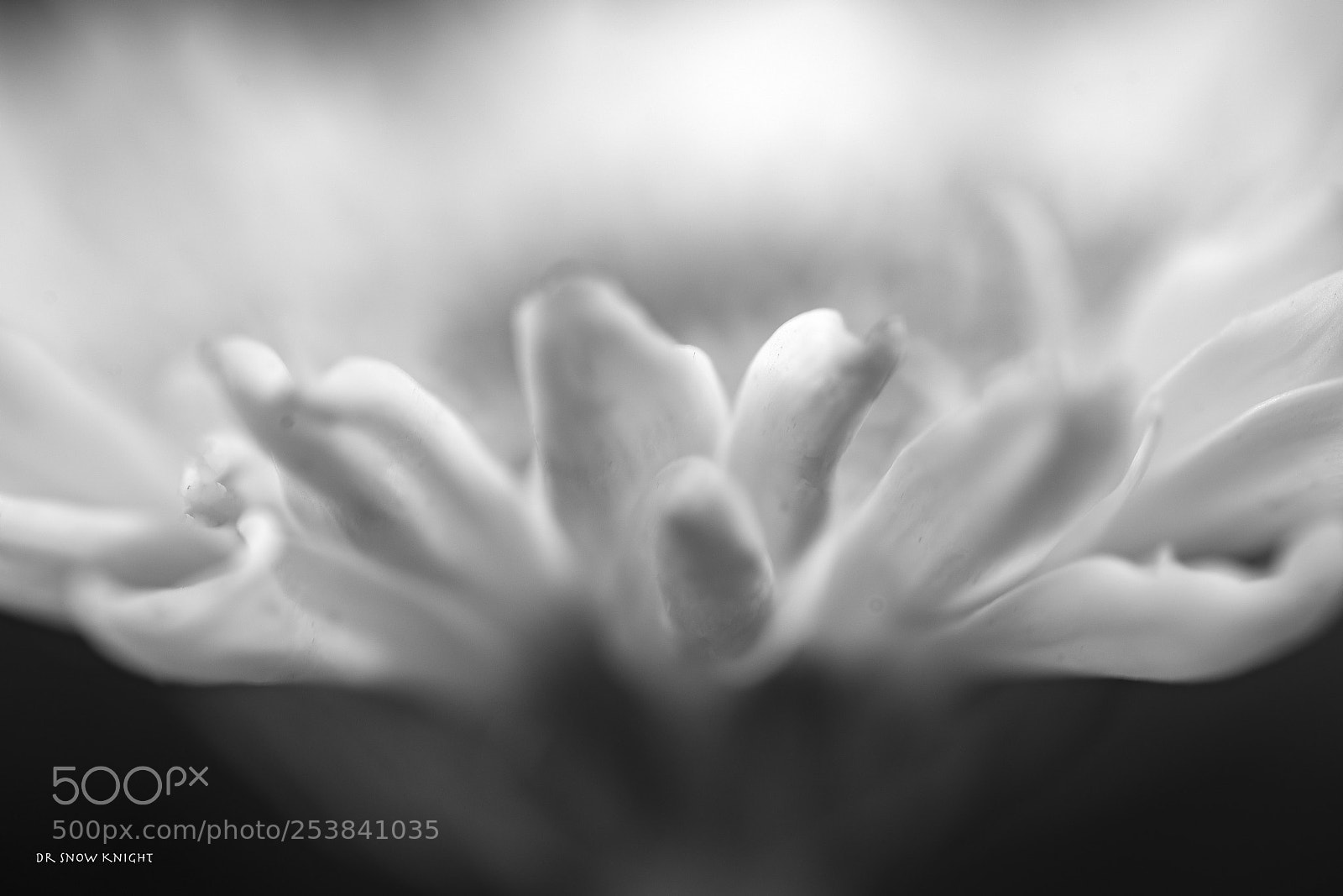 Nikon D810 sample photo. 16.jpg photography