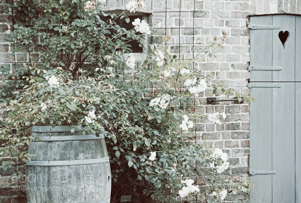 Canon EOS 7D sample photo. Lots of charm photography