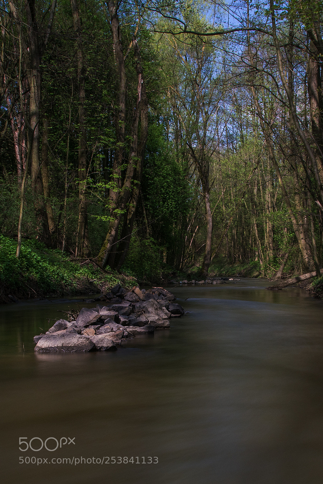 Sony ILCA-77M2 sample photo. Small river photography