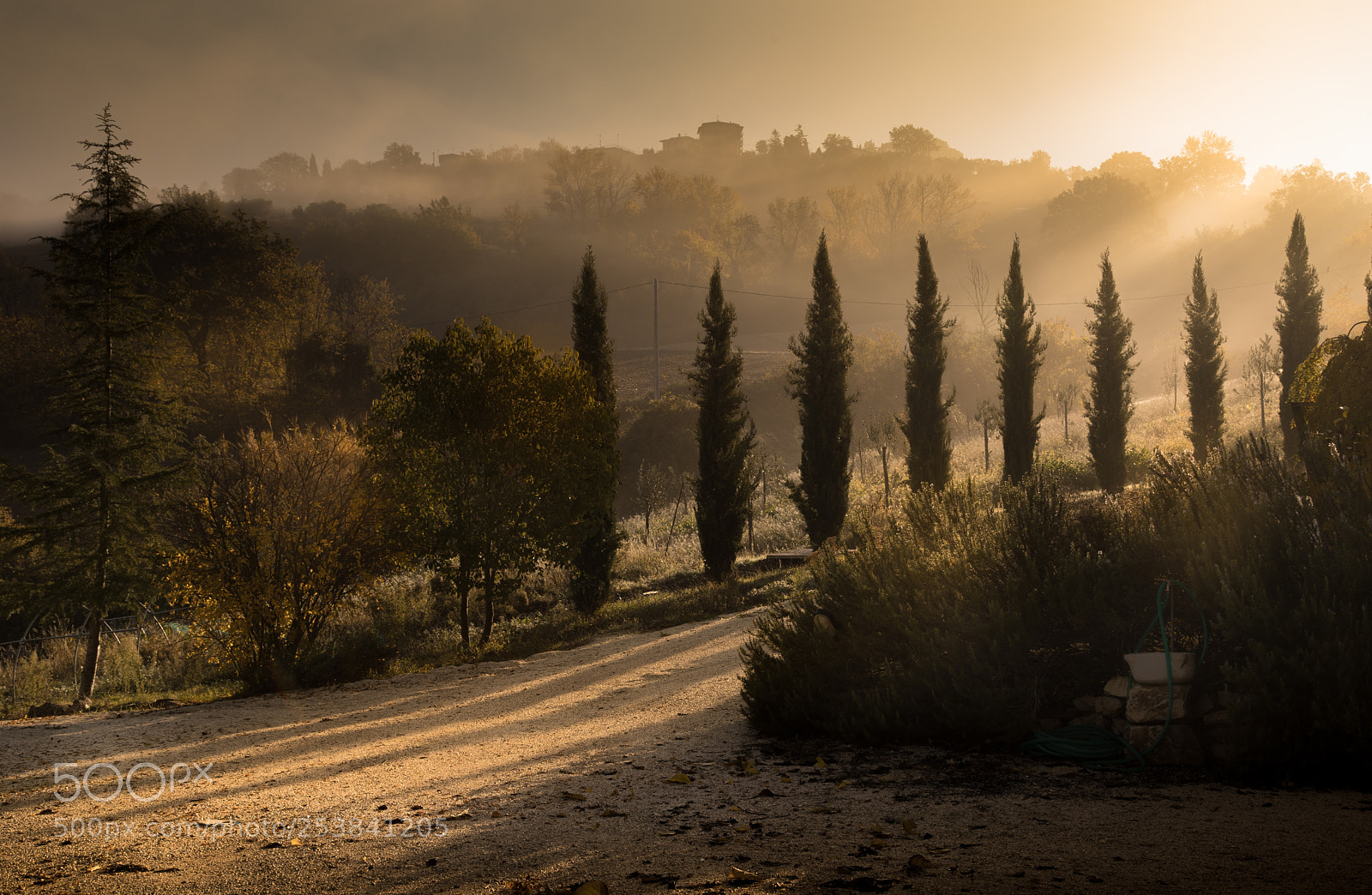 Canon EOS 5D Mark IV sample photo. Wake up gladiators (tuscany) photography