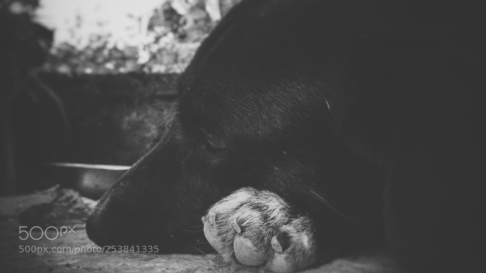 Xiaomi Redmi Note 4 sample photo. Untitled photography