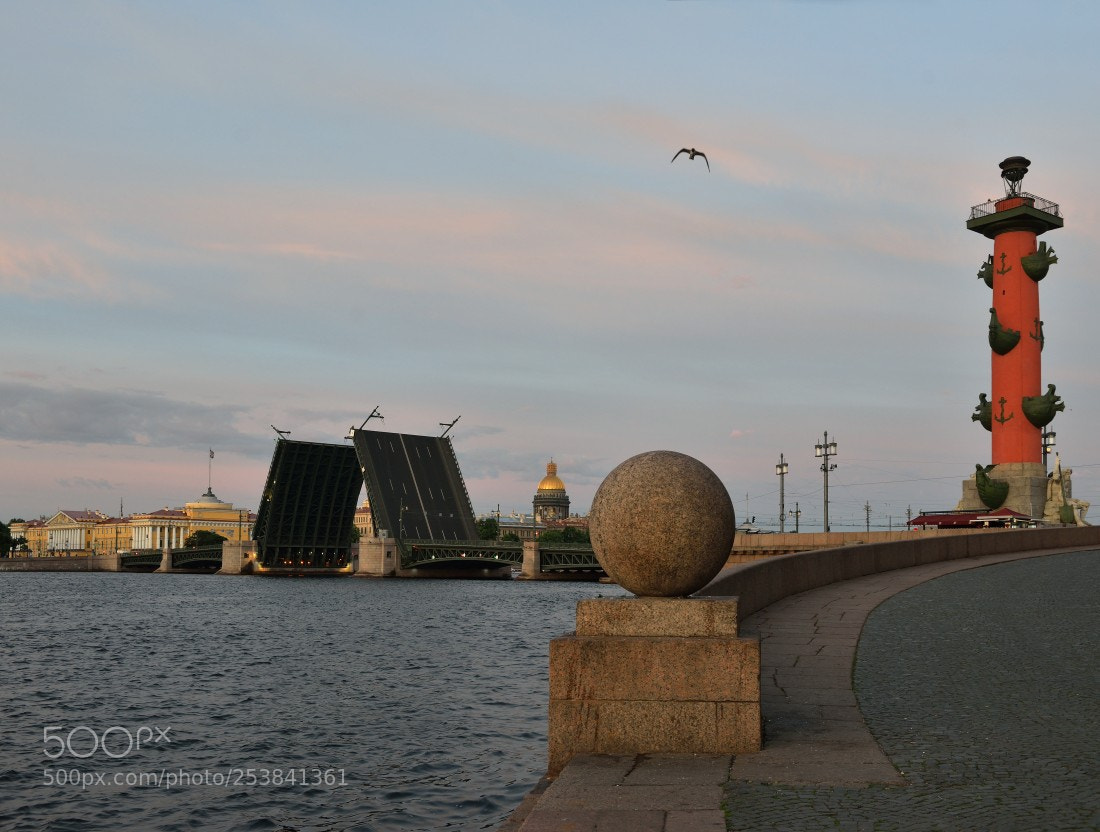 Nikon D800 sample photo. St.petersburg. #22 photography