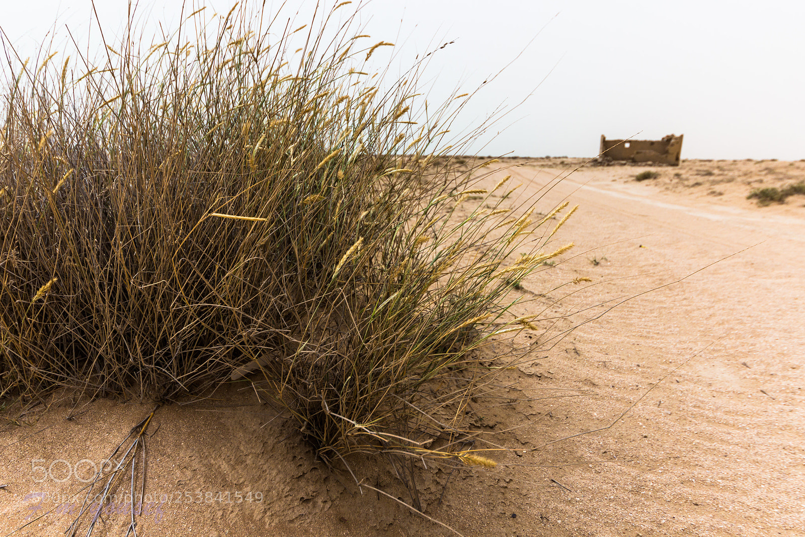 Canon EOS 600D (Rebel EOS T3i / EOS Kiss X5) sample photo. Kuwait photography