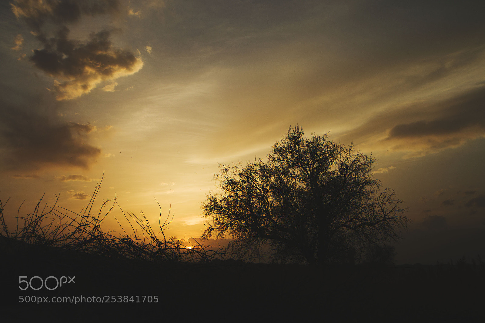 Canon EOS 70D sample photo. Img photography