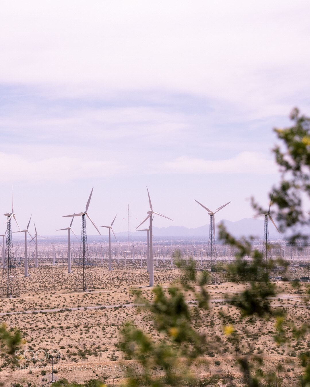 Canon EOS 80D sample photo. Wind turbines in palm photography