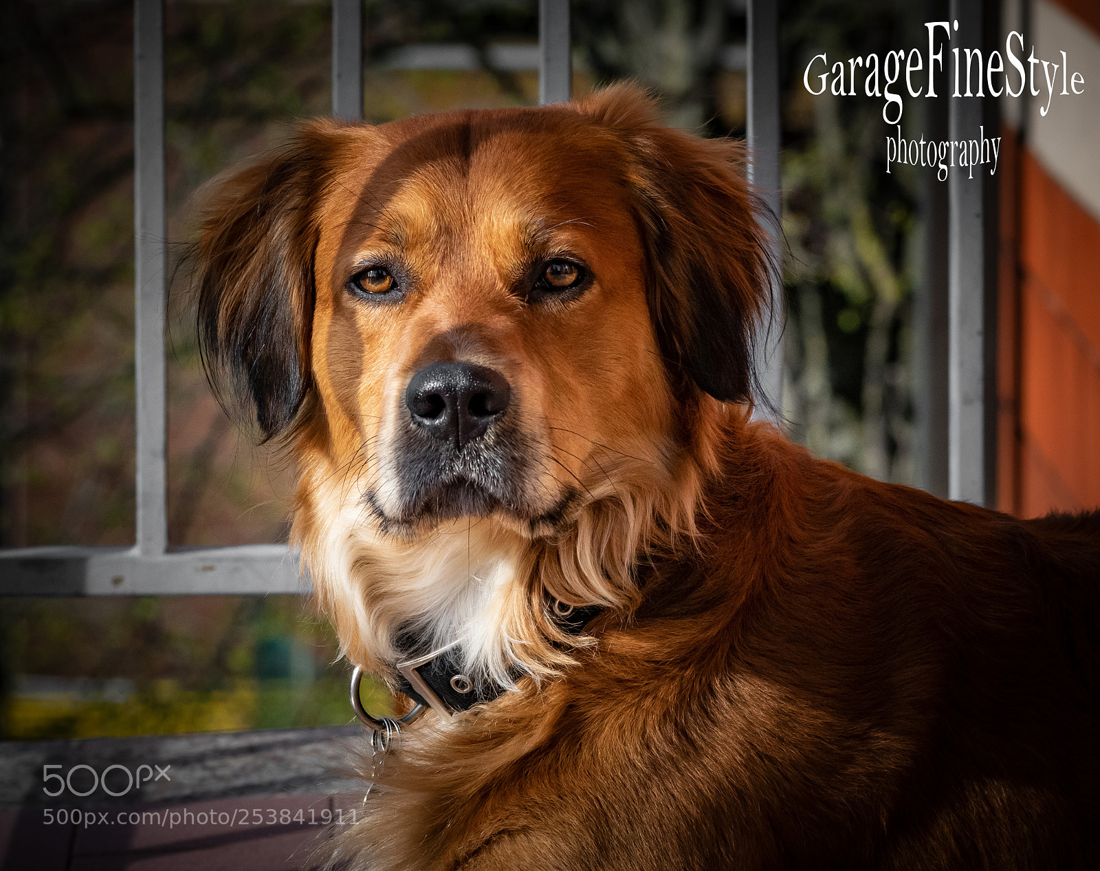 Nikon D5300 sample photo. Carlos photography