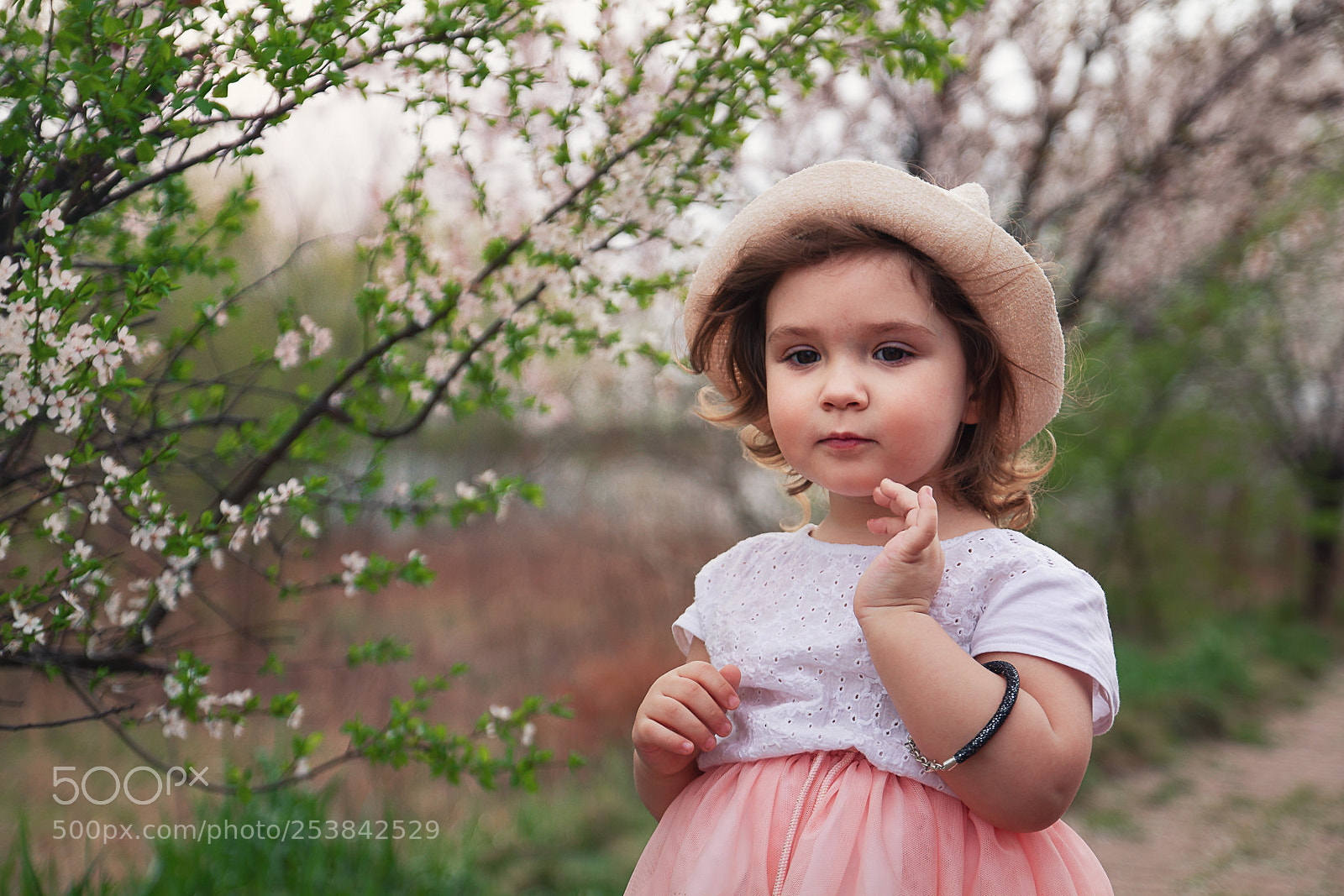 Canon EOS 550D (EOS Rebel T2i / EOS Kiss X4) sample photo. Klara photography