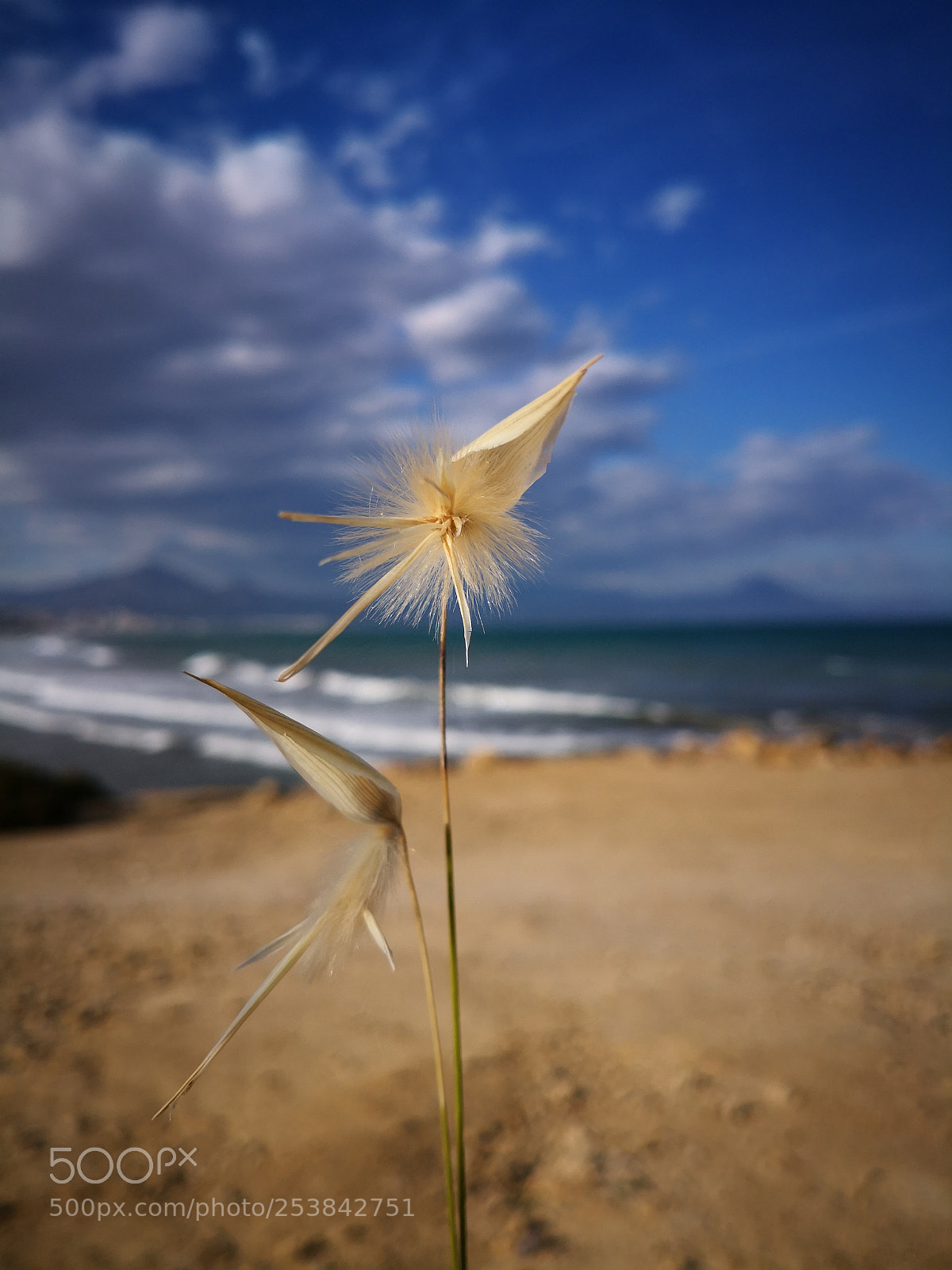 HUAWEI Mate 10 sample photo. Untitled photography
