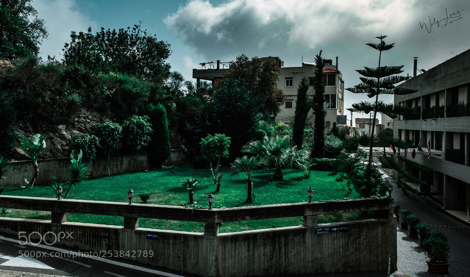 Fujifilm X-T2 sample photo. Untitled photography