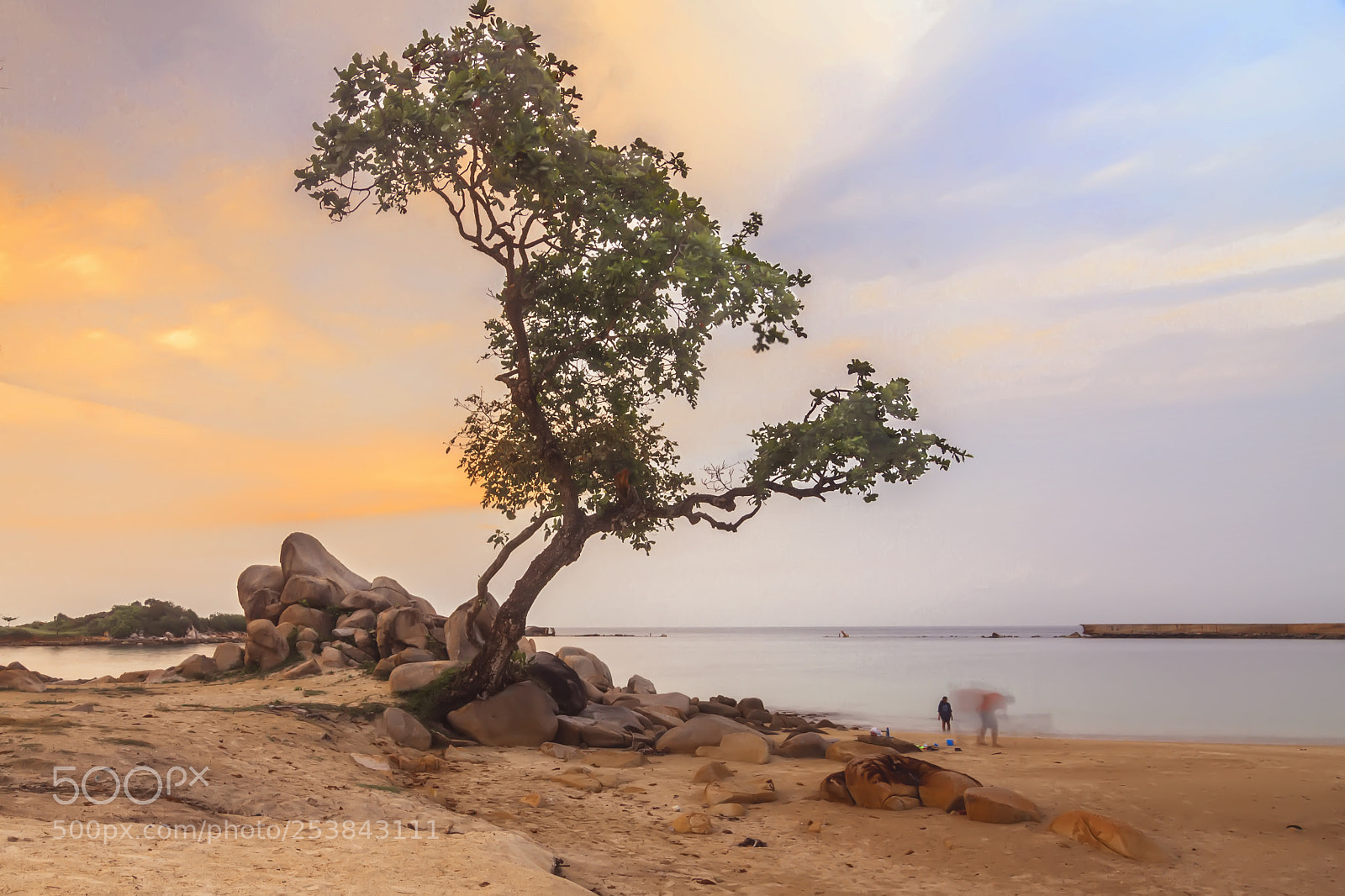 Canon EOS 7D sample photo. The loner photography