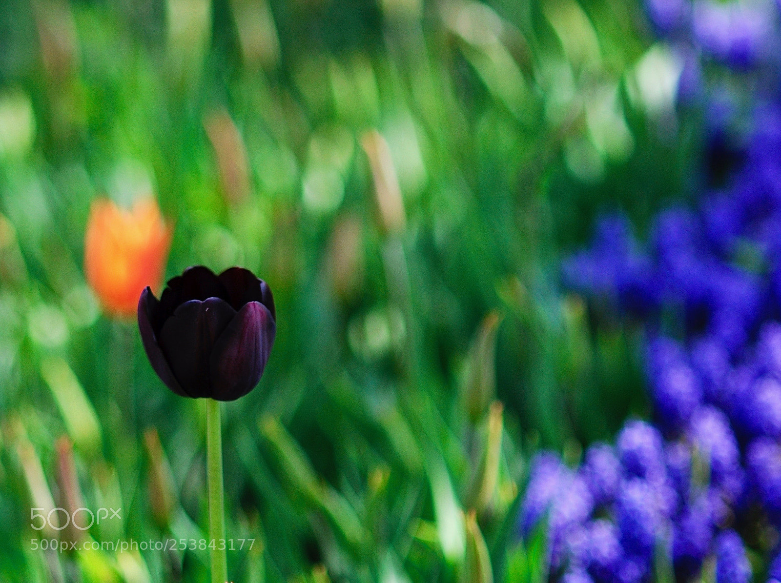 Nikon D90 sample photo. So cool... photography