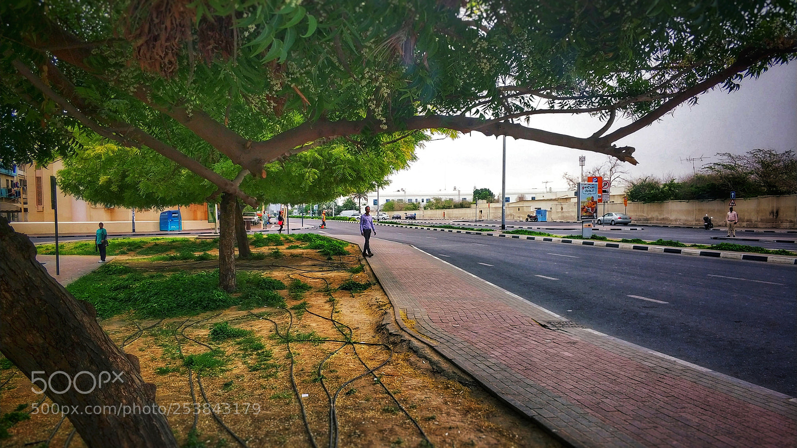 Xiaomi MI6 sample photo. Waiting for pickup photography