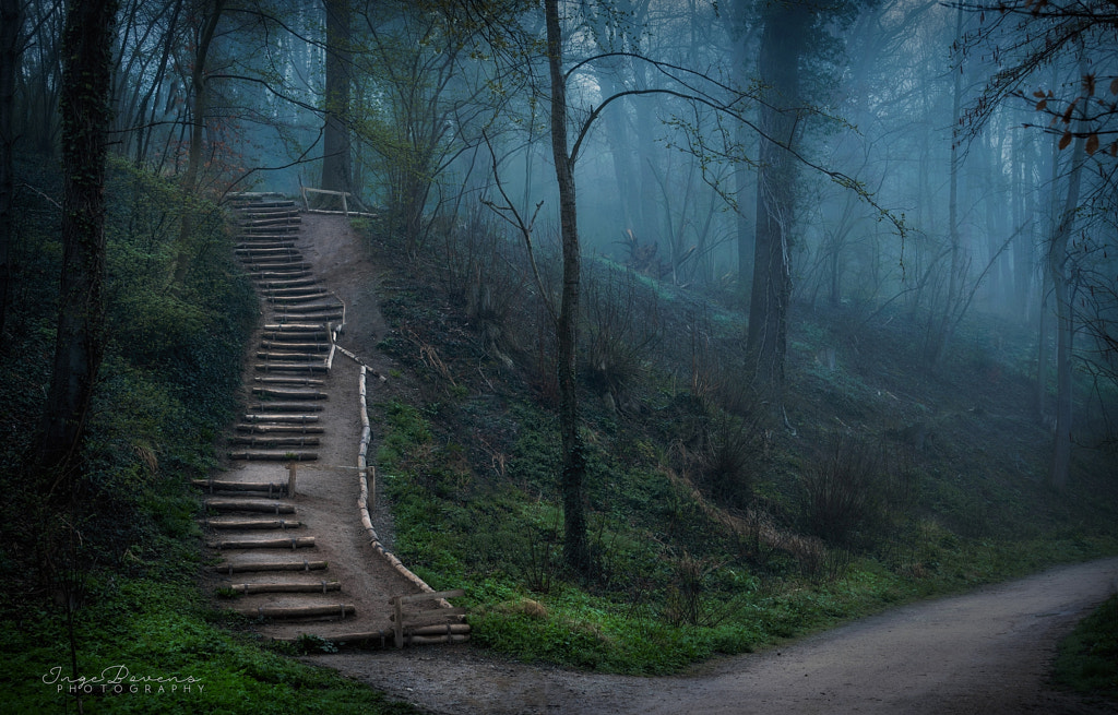The Stairway. by Inge Bovens on 500px.com