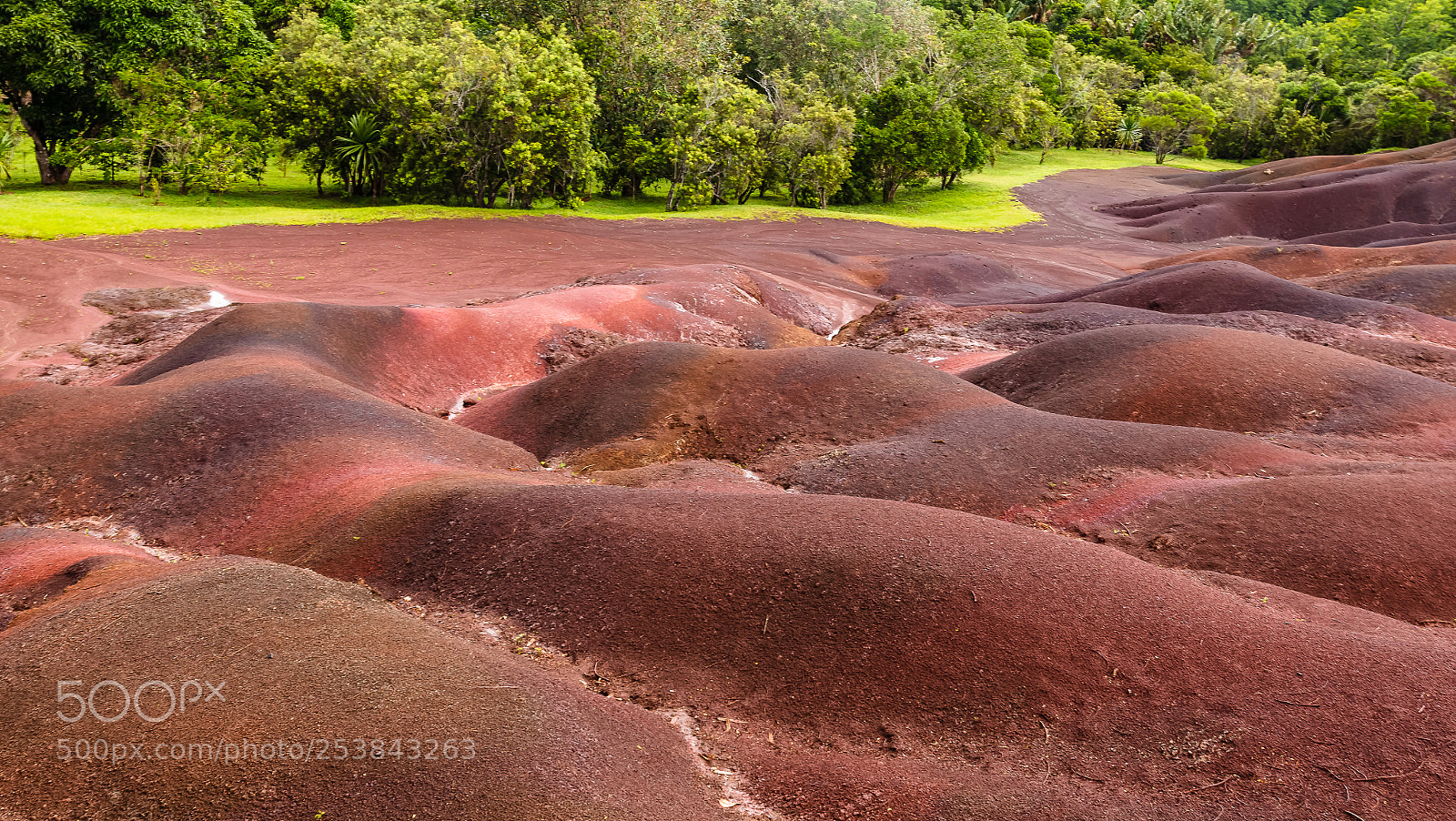 Canon EOS 70D sample photo. Chamarel mauritius photography