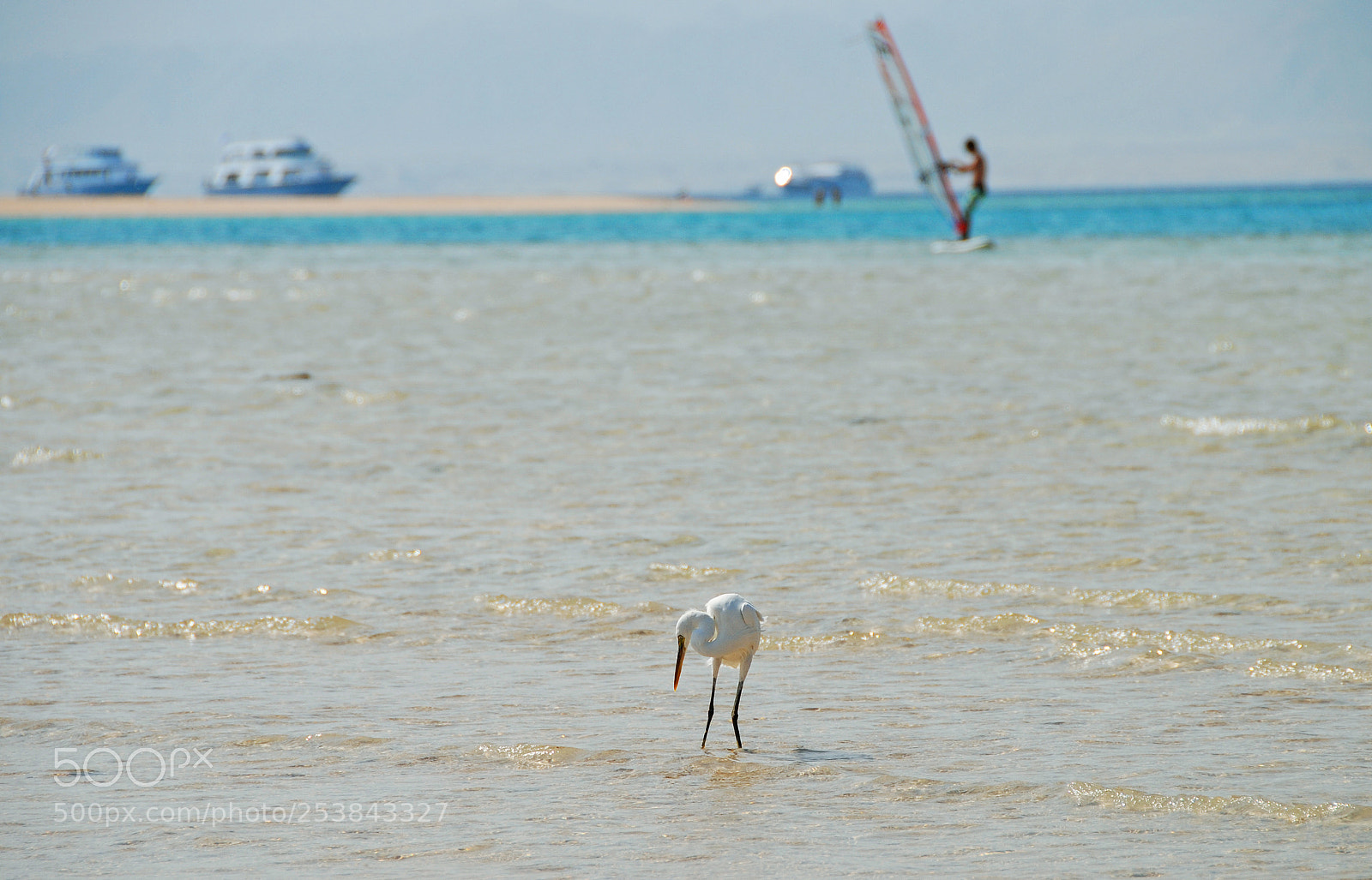 Nikon D80 sample photo. Soma bay. photography