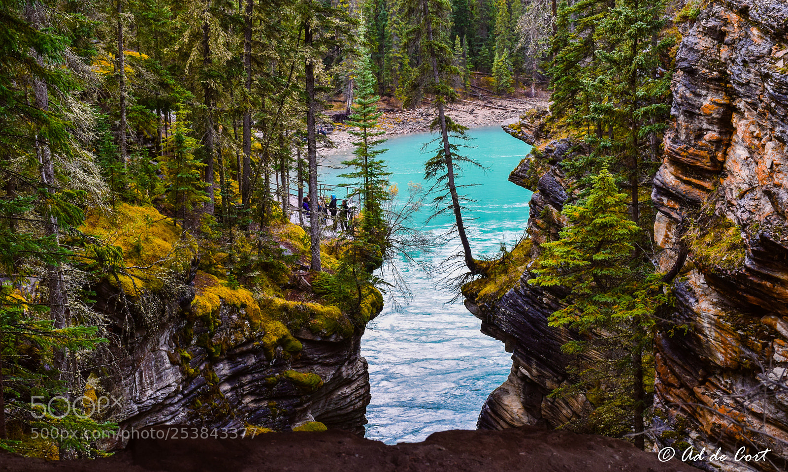 Nikon D5300 sample photo. Athabasca falls photography