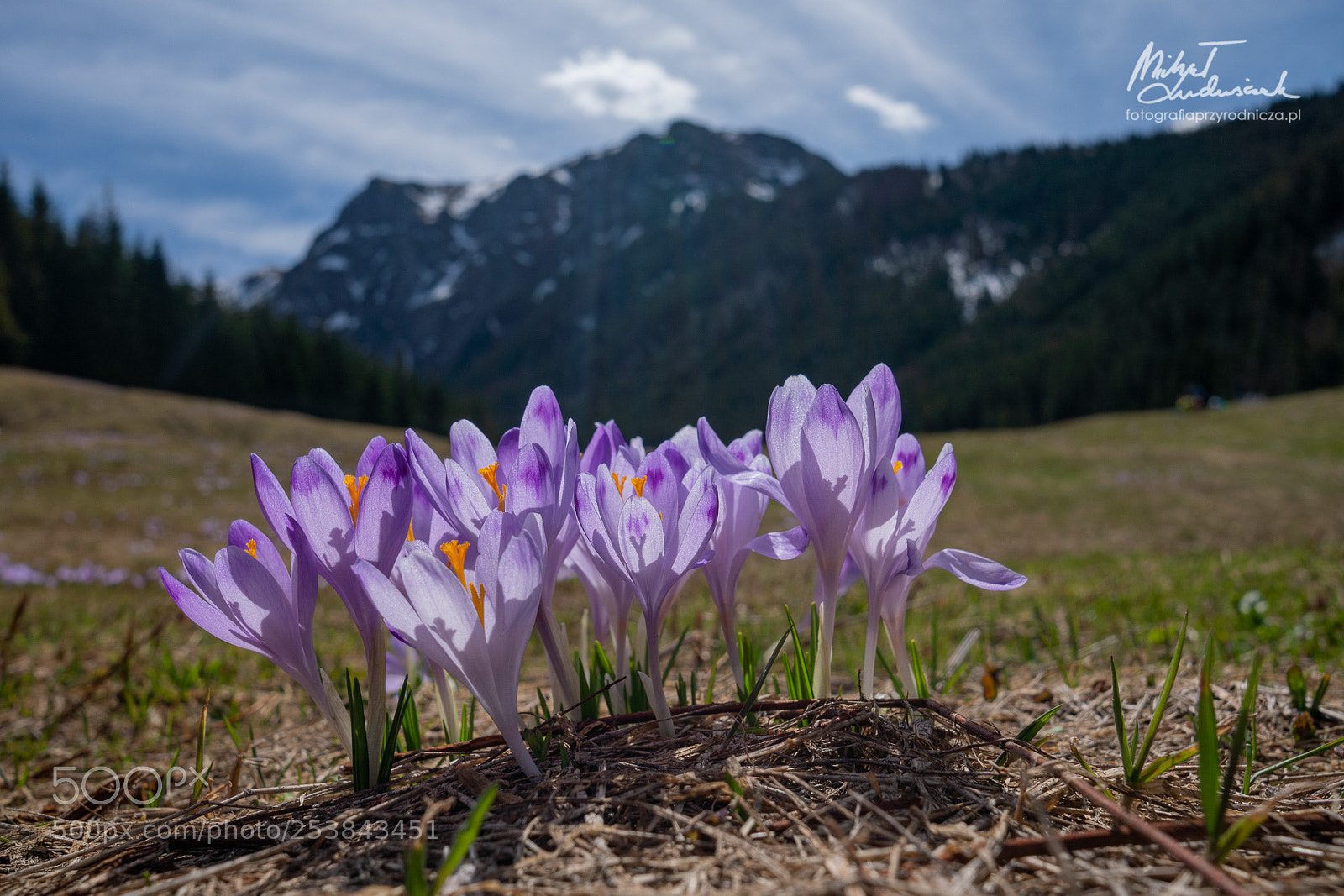 Sony a6500 sample photo. Spring in the tatras photography