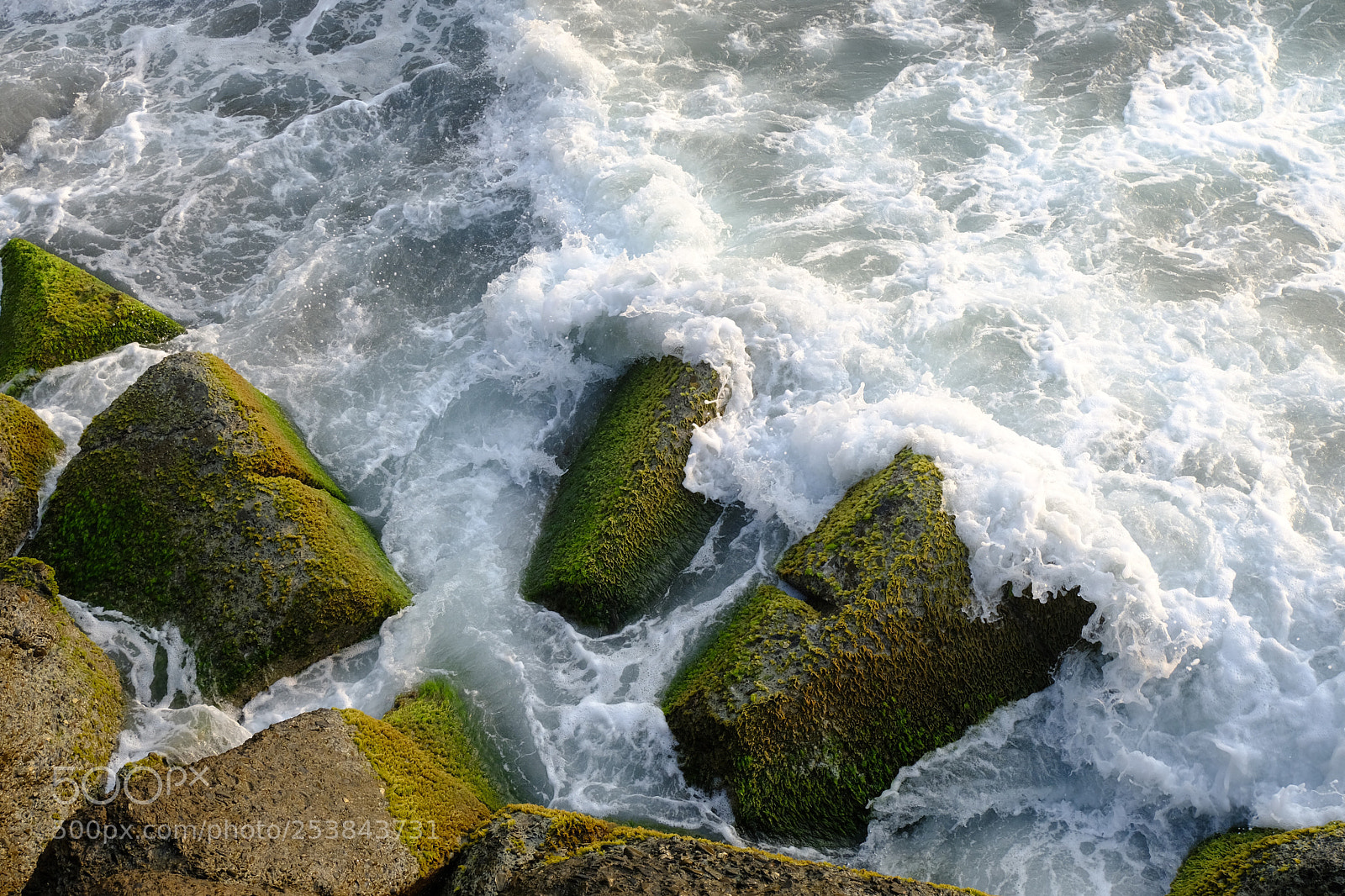 Fujifilm X-T20 sample photo. The beaty of nature  photography
