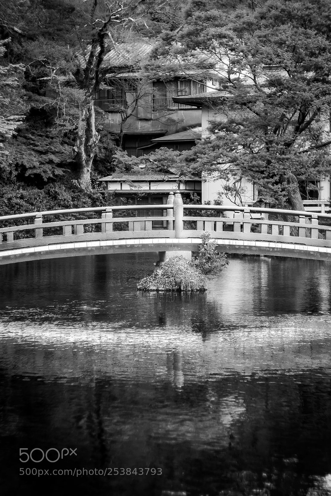 Nikon D810 sample photo. Spring water pond and photography