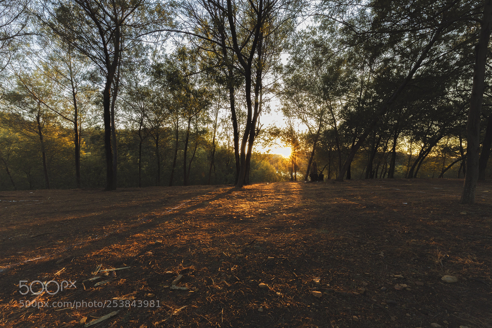 Canon EOS 5D Mark IV sample photo. Sunset photography