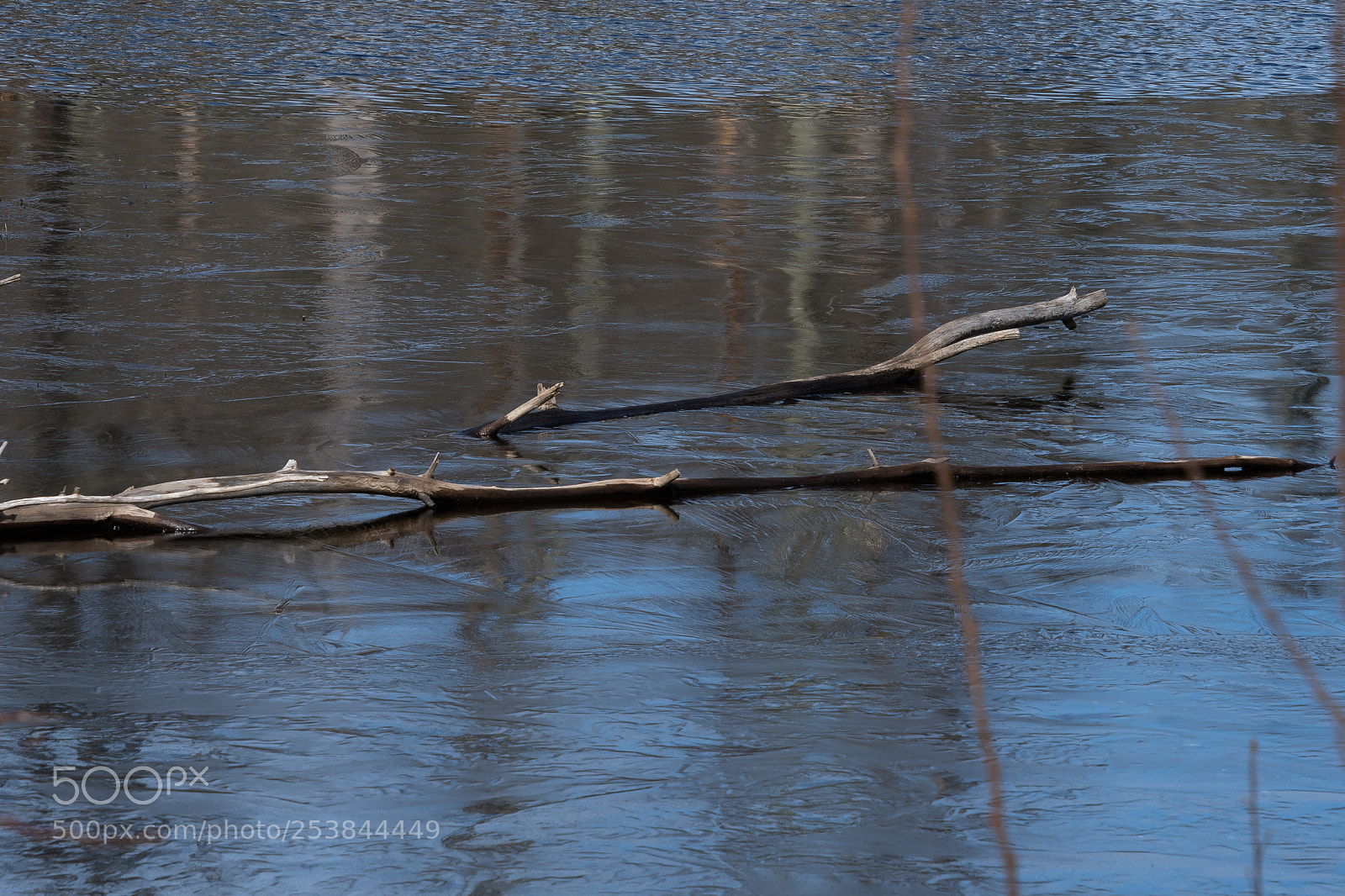 Nikon D500 sample photo. Liquid meets solid water photography