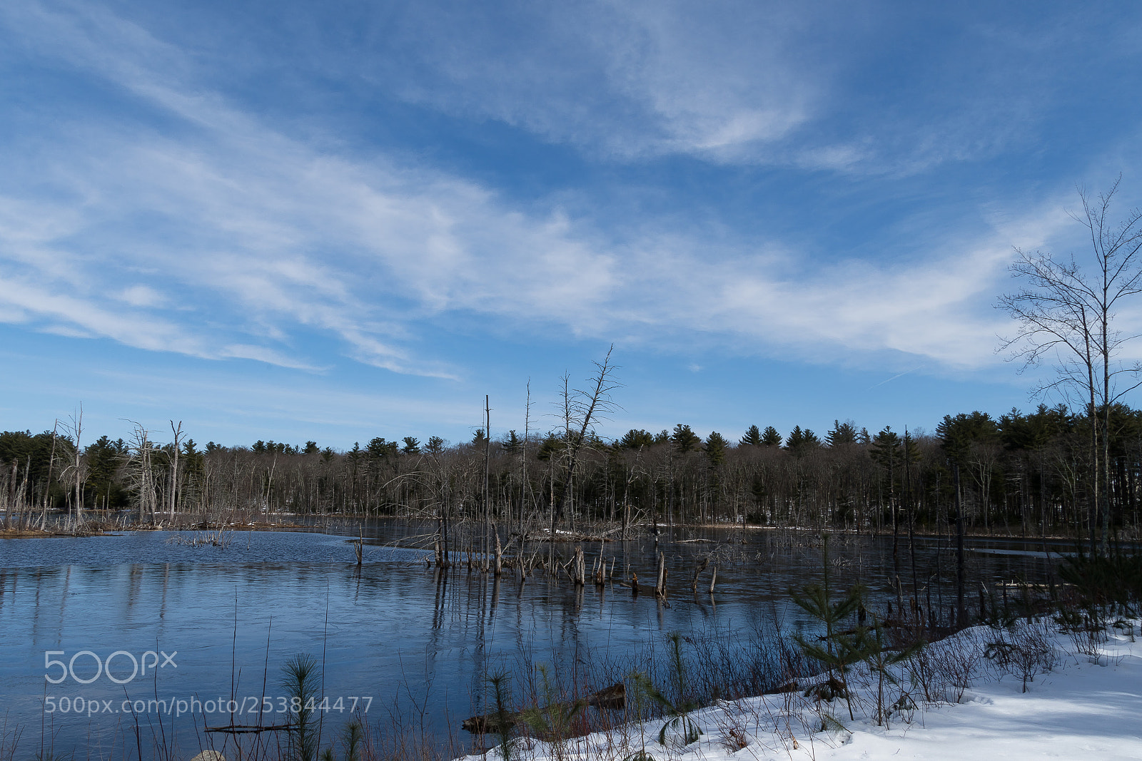 Nikon D500 sample photo. A frozen spring photography