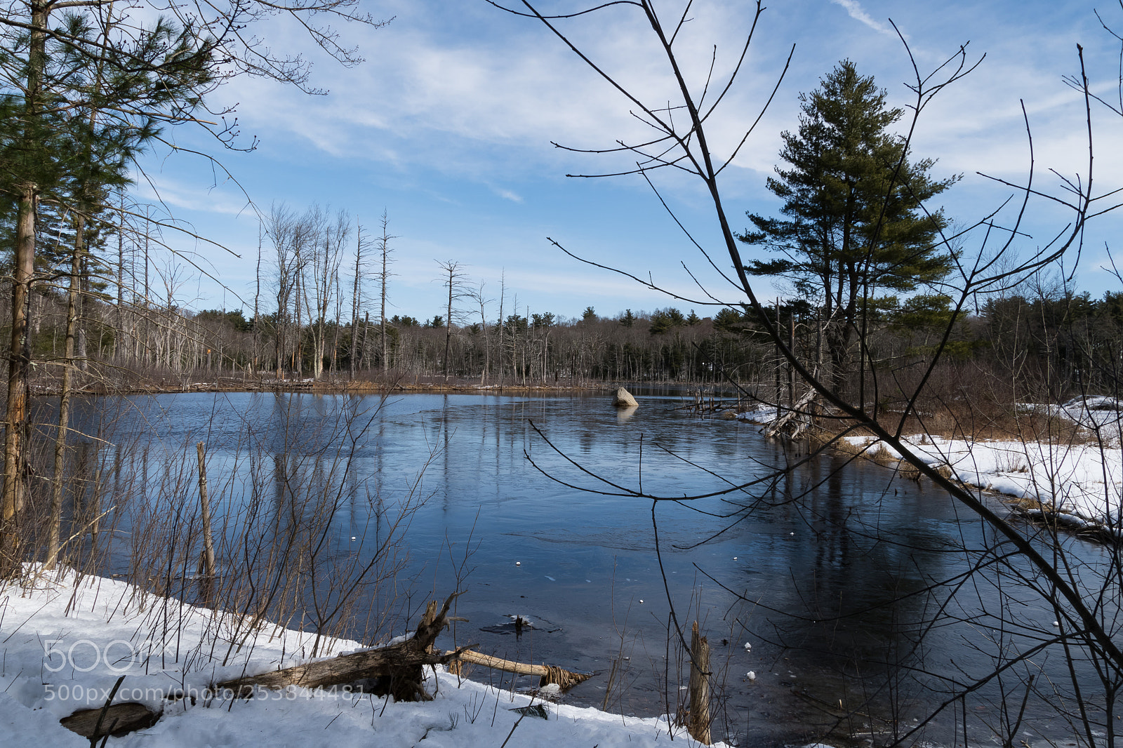 Nikon D500 sample photo. Slippery ground photography