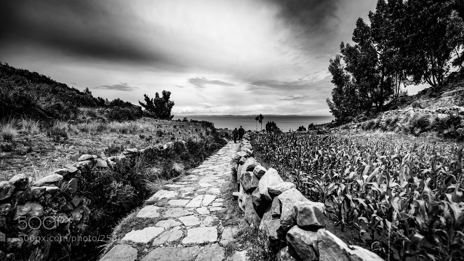 Canon EOS 5D Mark IV sample photo. Puno & isla taquile photography