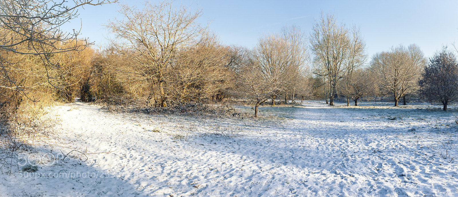 Canon EOS 5D Mark II sample photo. Wait... photography