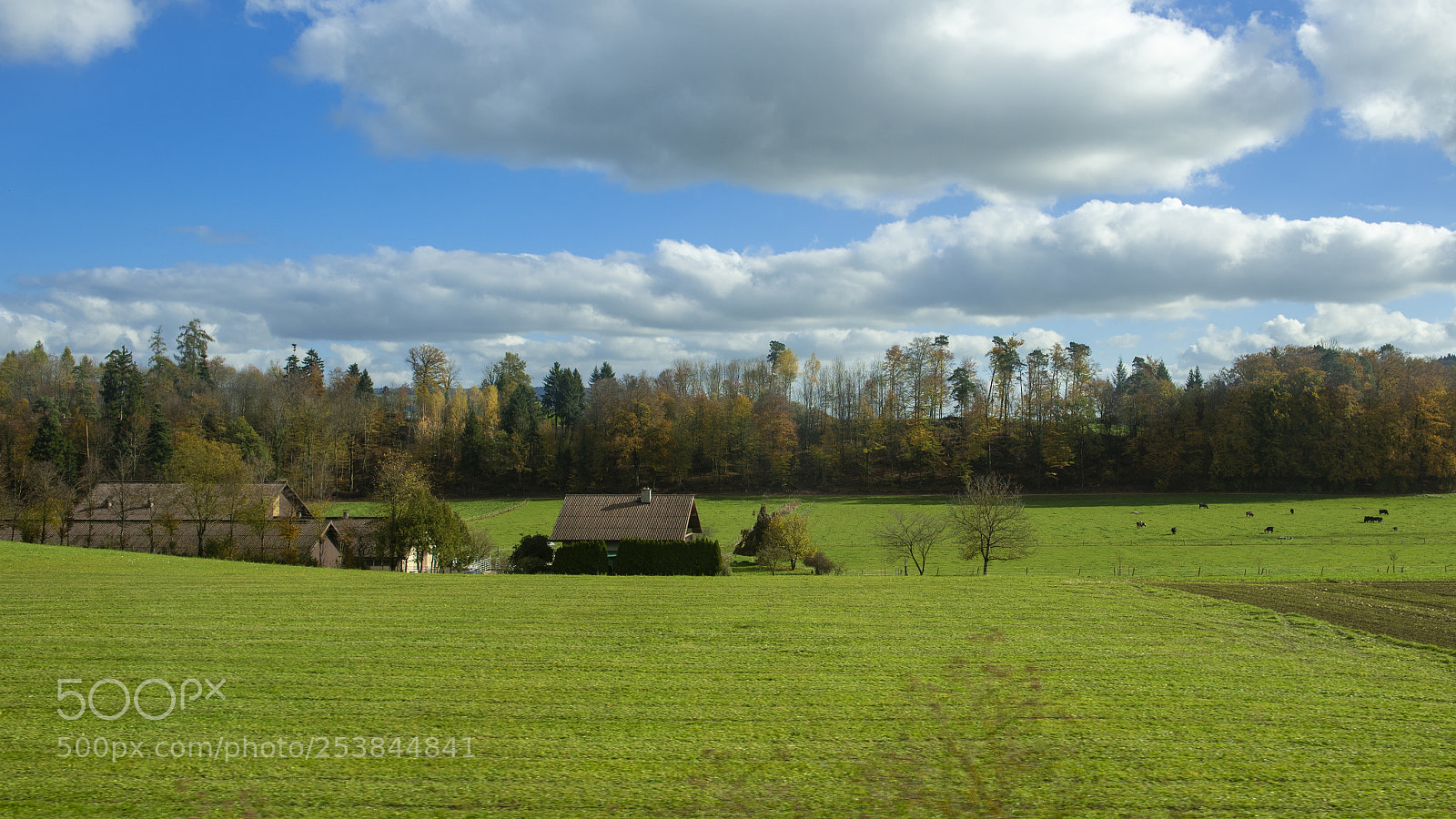 Nikon D750 sample photo. Countryside field with blu photography