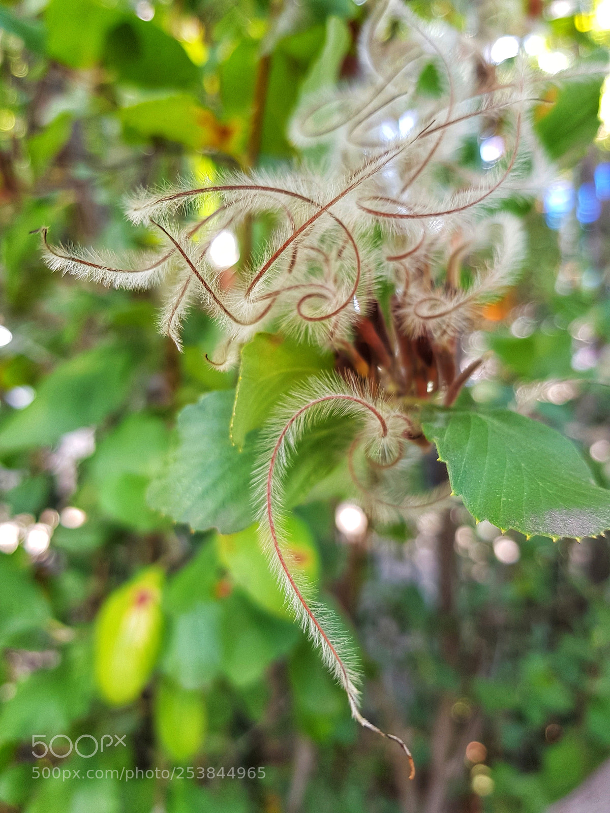 Samsung Galaxy S8 sample photo. Twist photography