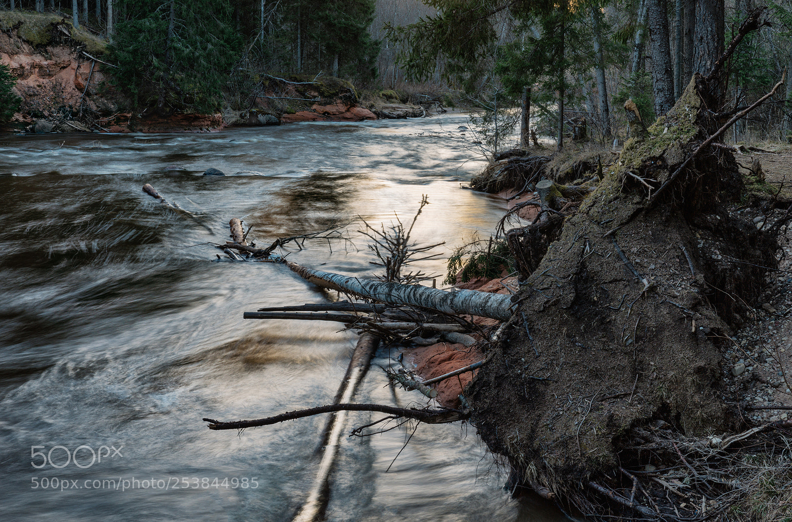 Sony SLT-A99V sample photo. Amata photography
