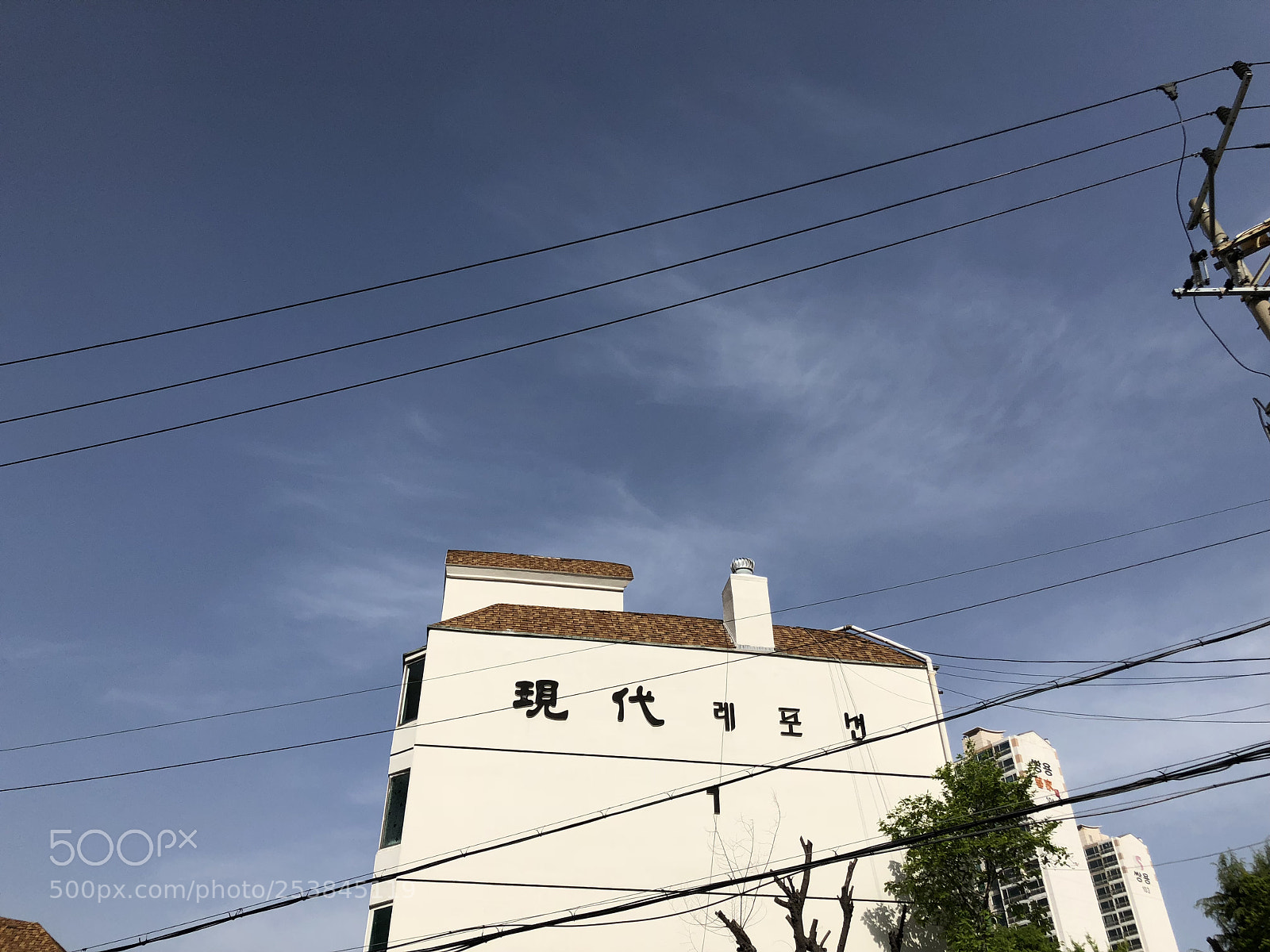 Apple iPhone 8 Plus sample photo. Lonley photography