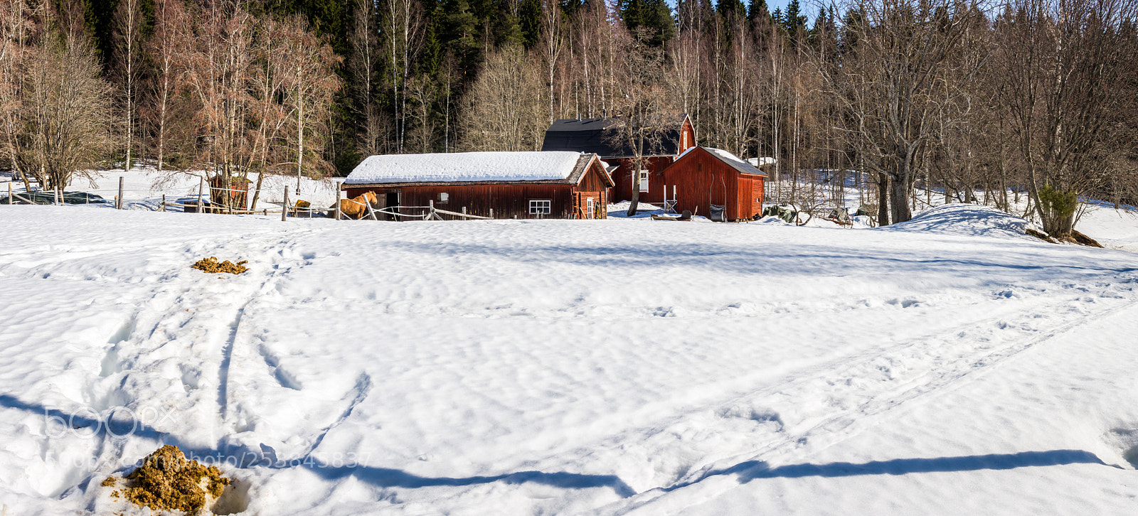Nikon D7200 sample photo. Konttila farm photography