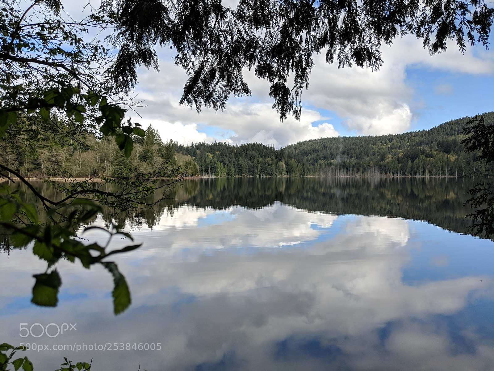 Google Pixel 2 XL sample photo. Bowen island photography