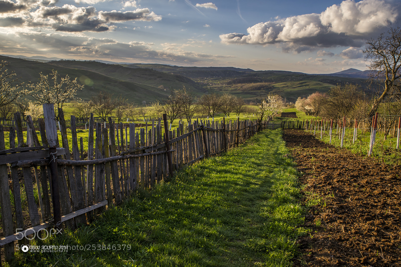 Nikon D610 sample photo. Spring photography