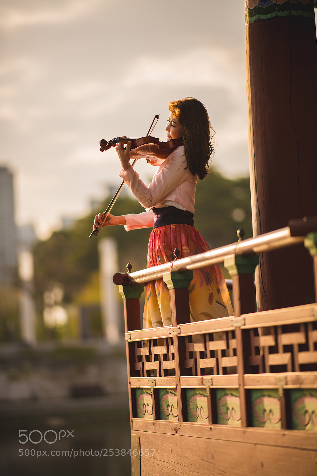 Nikon D850 sample photo. Sunset & violinist photography