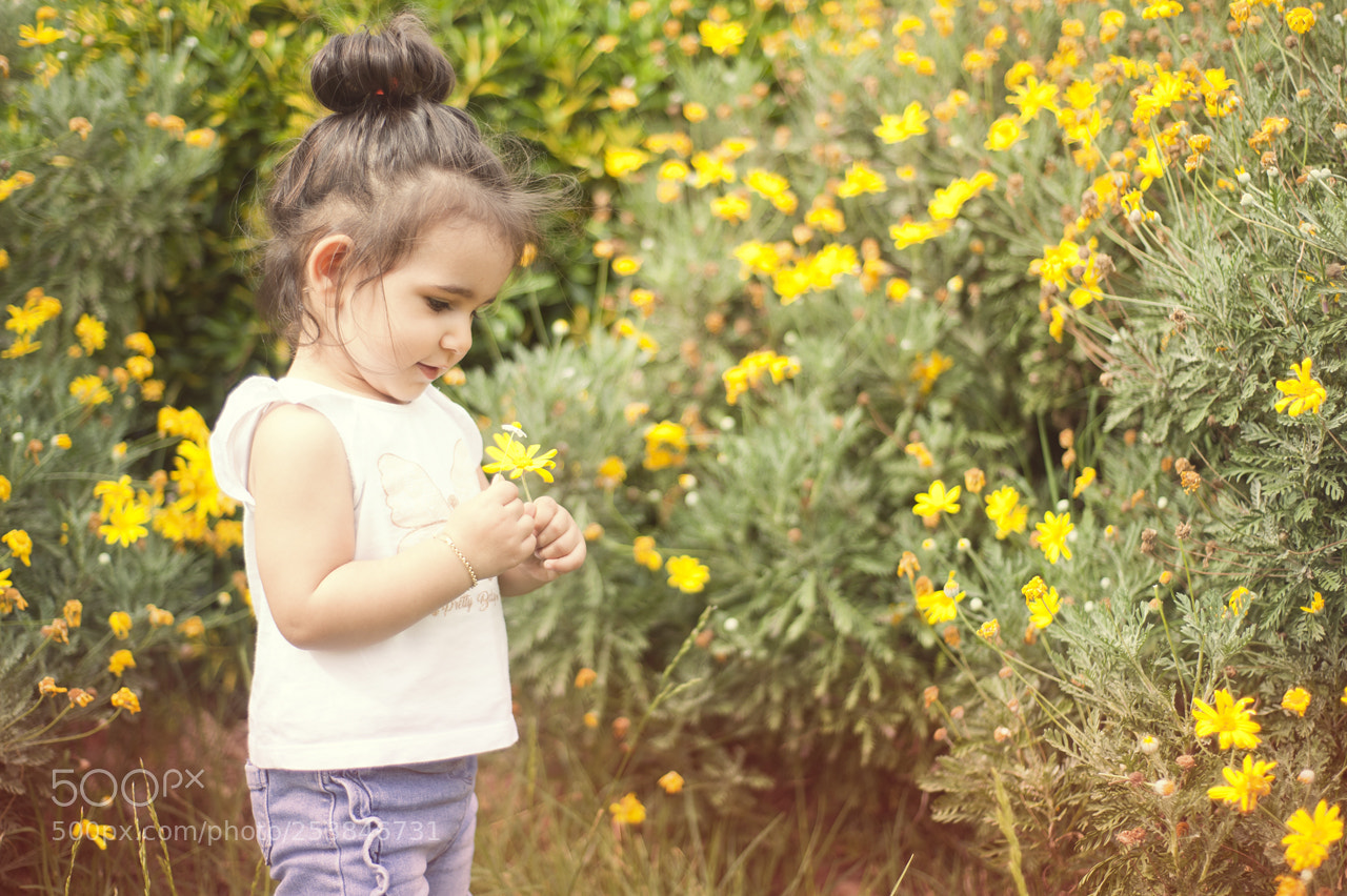Nikon D700 sample photo. Flowers photography