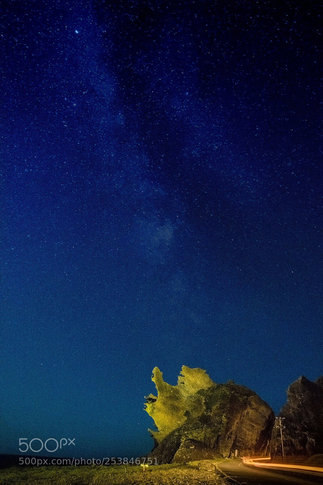 Nikon D810 sample photo. 蘭嶼龍頭岩 photography