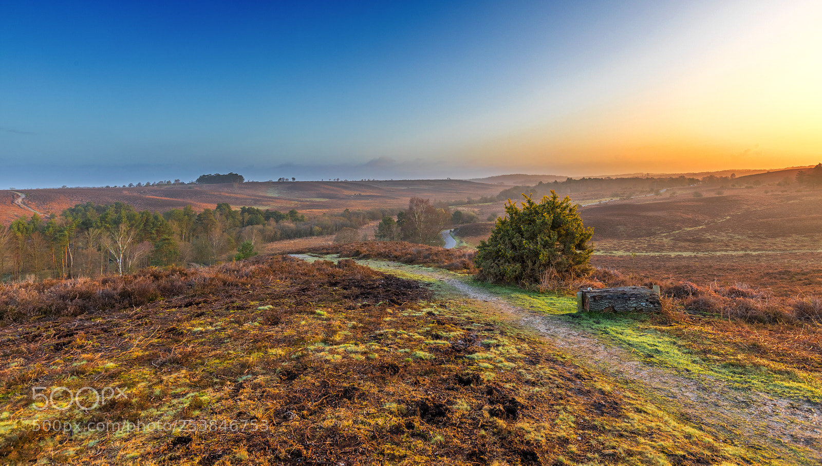 Canon EOS 5D Mark IV sample photo. First cuckoo morning photography