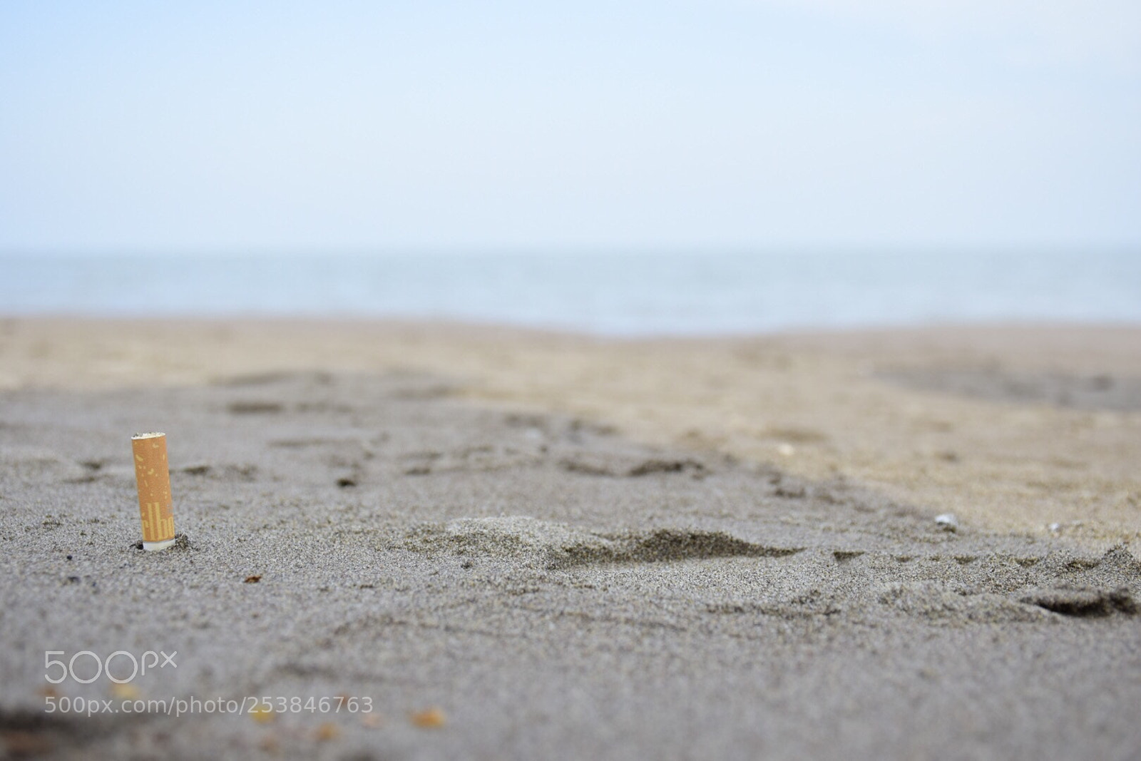 Nikon D5300 sample photo. Untitled photography