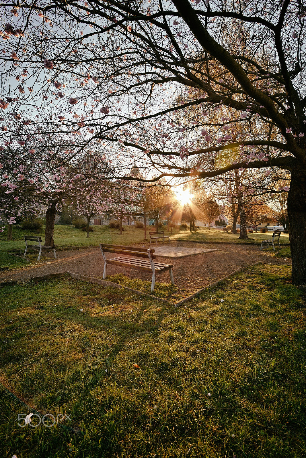 Samyang 14mm F2.8 ED AS IF UMC sample photo. Sunrise in the city park ... photography