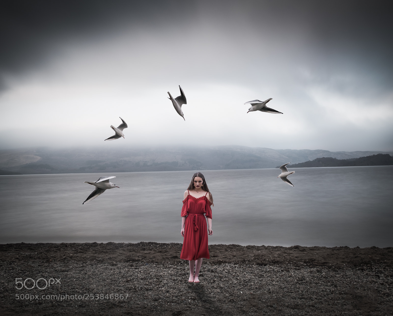 Fujifilm X-T2 sample photo. The birds photography