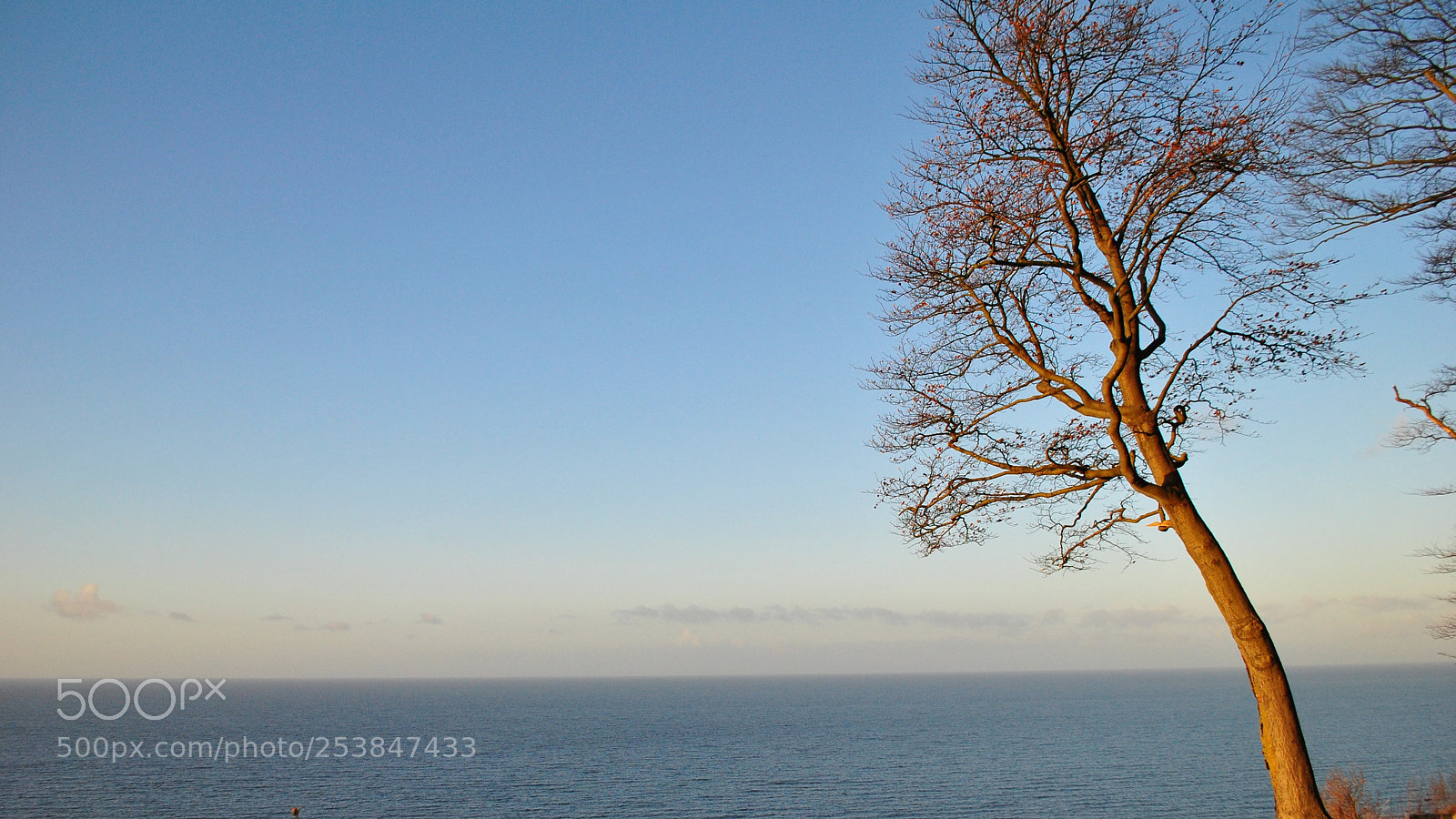 Nikon D3000 sample photo. At the sea photography