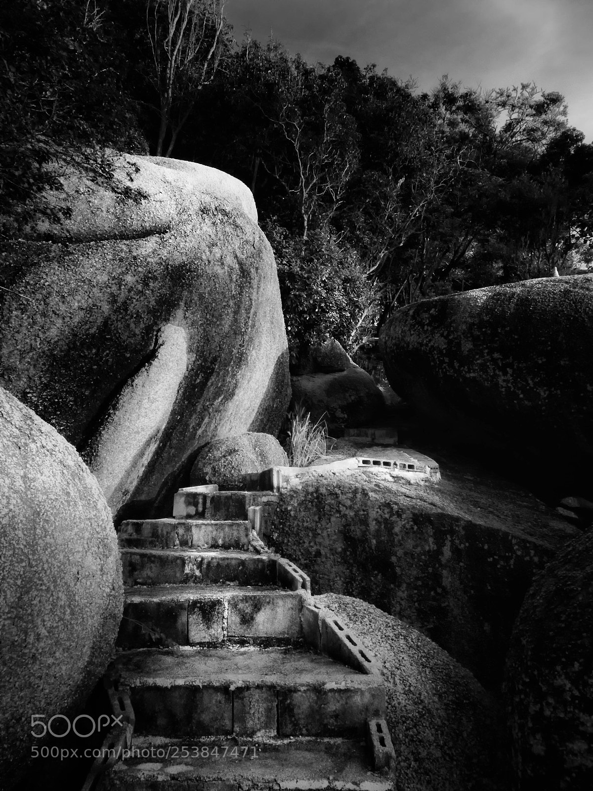 Olympus OM-D E-M10 II sample photo. Stairs photography