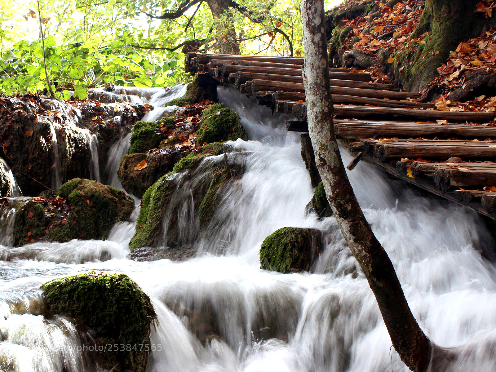Canon EOS 600D (Rebel EOS T3i / EOS Kiss X5) sample photo. Tiny waterfalls photography