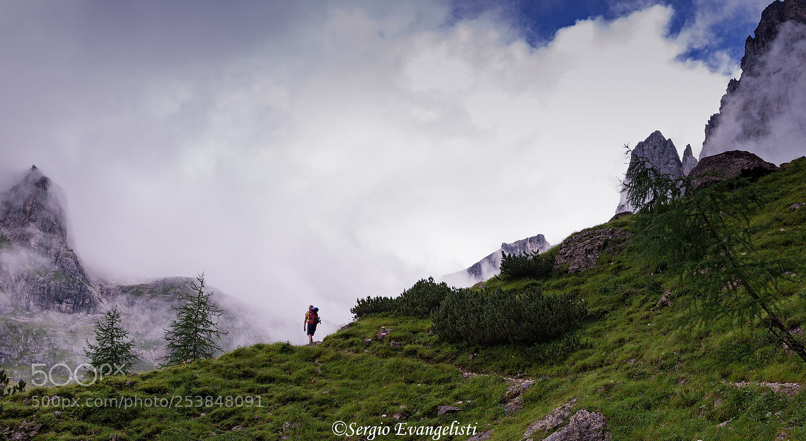 Nikon D90 sample photo. Palaronda trek - pale photography