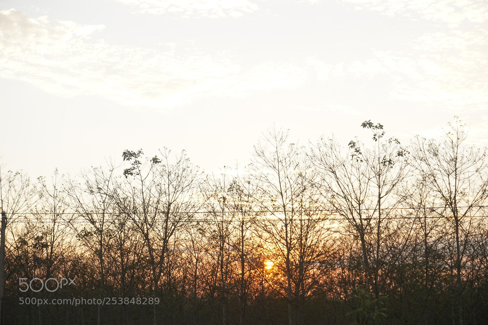 Sony a6000 sample photo. Dsc photography