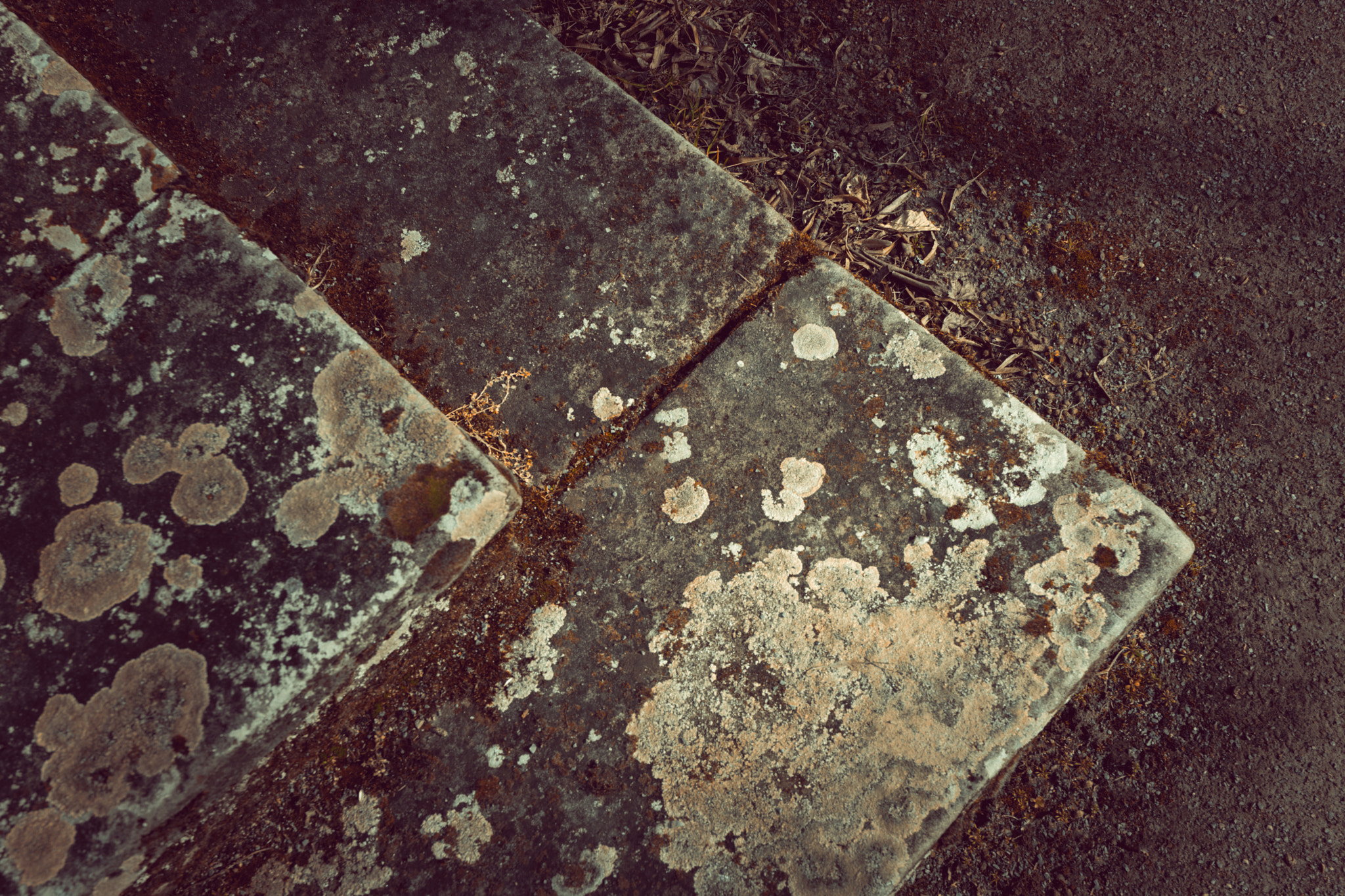 Sony Cyber-shot DSC-RX1 sample photo. Old historic stone stairs from high angle view photography