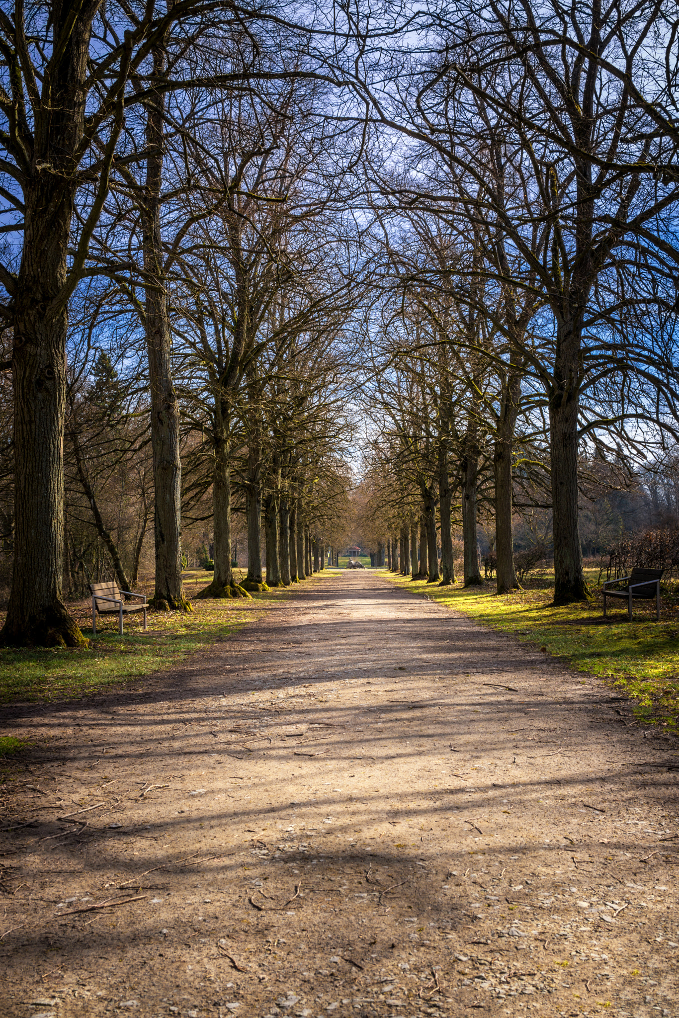 Sony Cyber-shot DSC-RX1 sample photo. Beautiful nature and park scene in spring photography